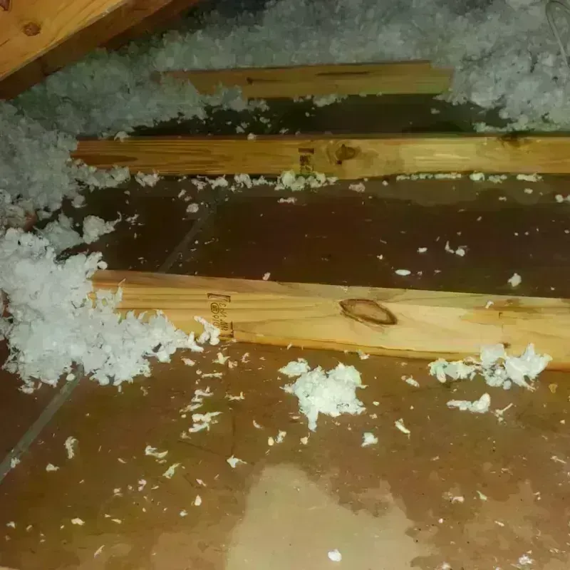 Attic Water Damage in McGregor, TX