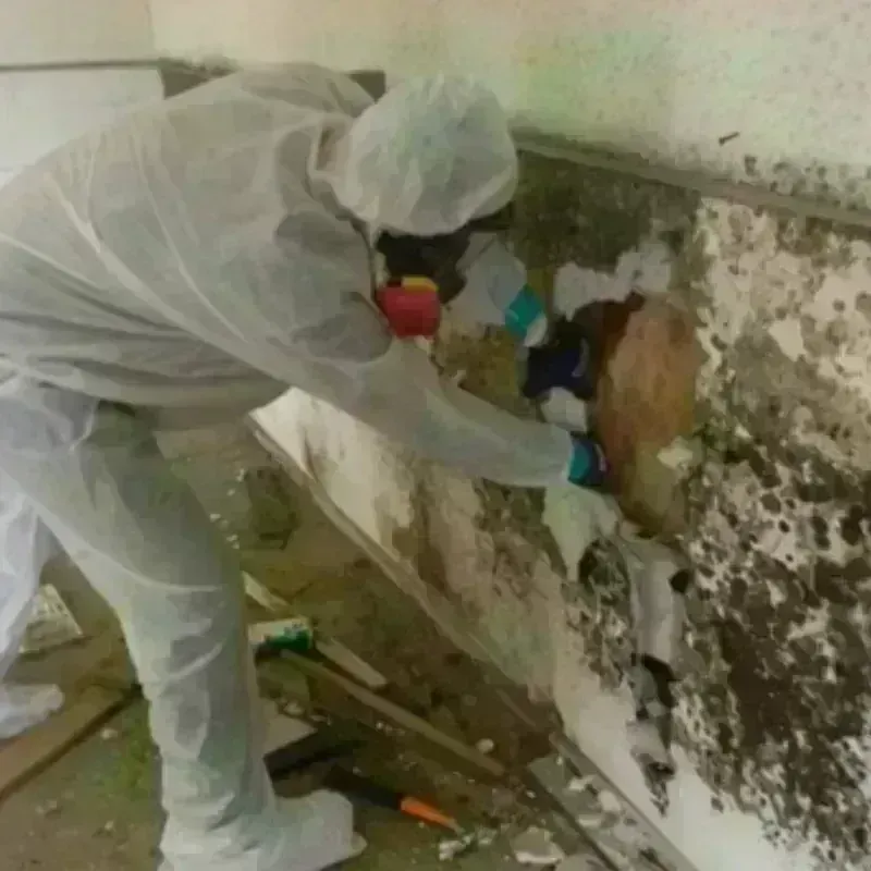 Mold Remediation and Removal in McGregor, TX