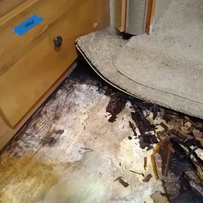 Wood Floor Water Damage in McGregor, TX